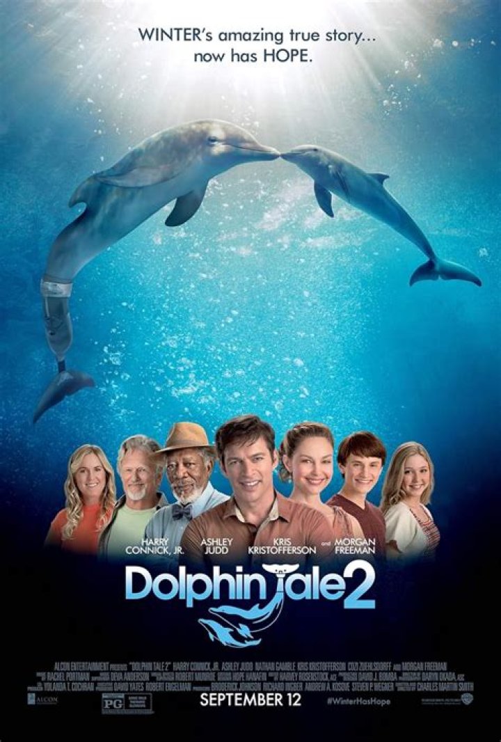 
The Dolphin Tale: Is It Based On True Story? The Dolphin Tale’s Story, Cast, Actors and Movie Details. 